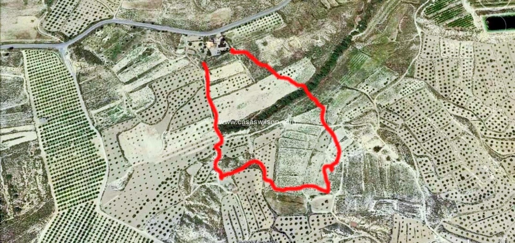 Venta - Finca - Torremendo