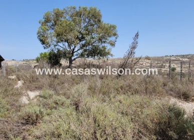 Venta - Finca - Torremendo