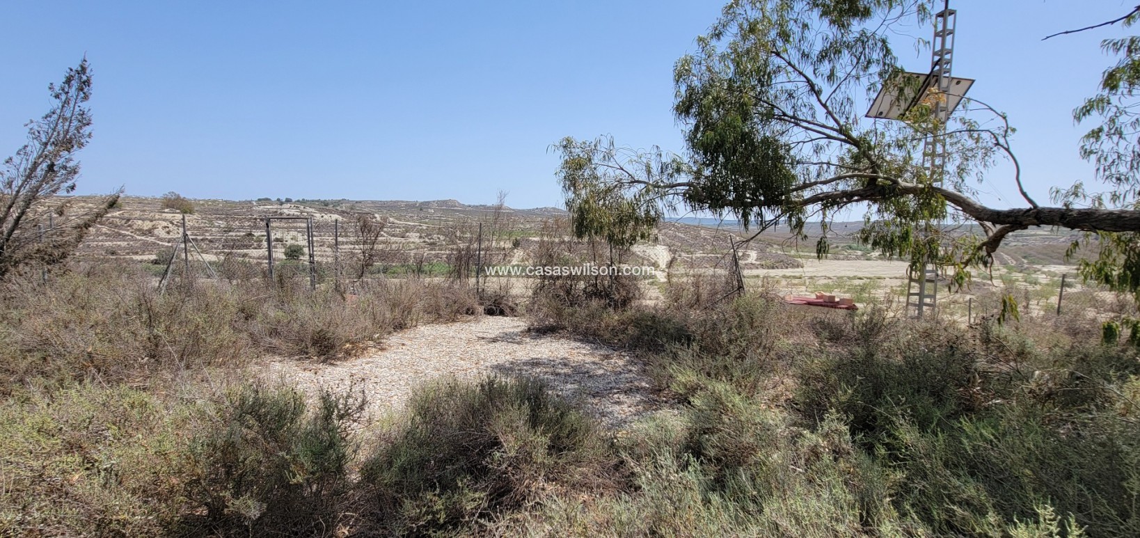 Venta - Finca - Torremendo