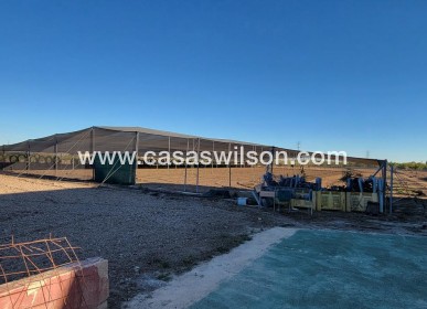 Sale - Country Property - San Miguel de Salinas