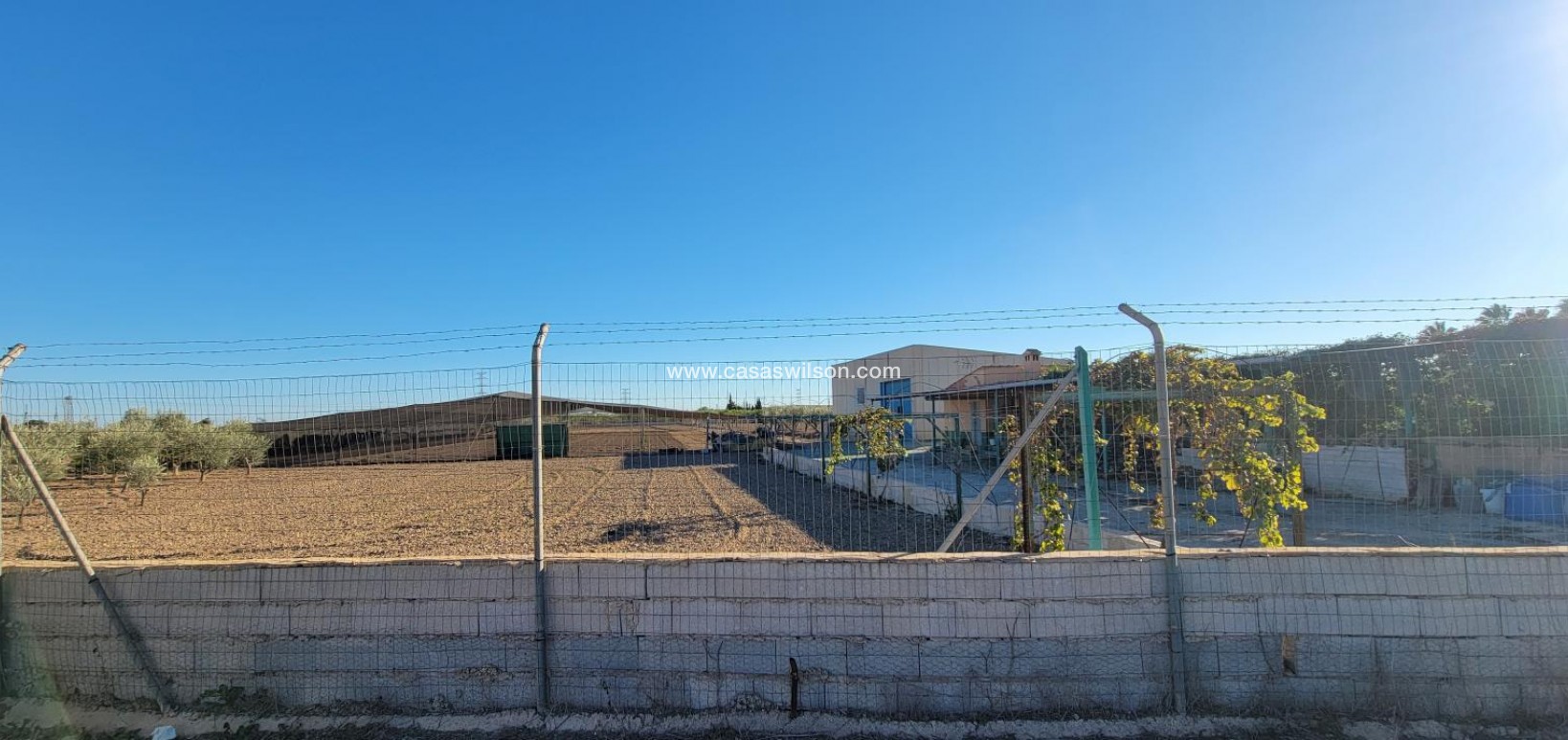 Sale - Country Property - San Miguel de Salinas