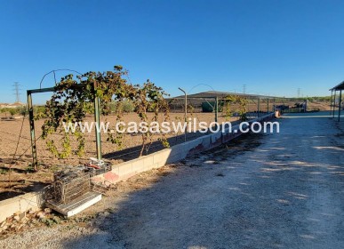 Sale - Country Property - San Miguel de Salinas