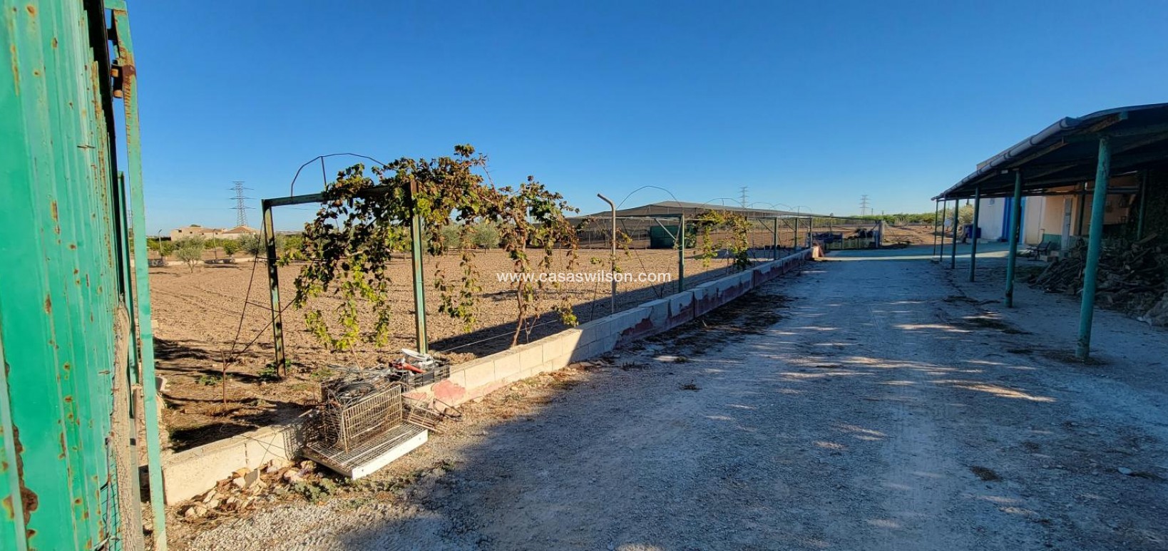 Sale - Country Property - San Miguel de Salinas