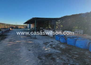 Sale - Country Property - San Miguel de Salinas