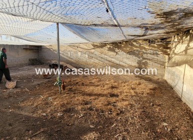 Sale - Country Property - San Miguel de Salinas