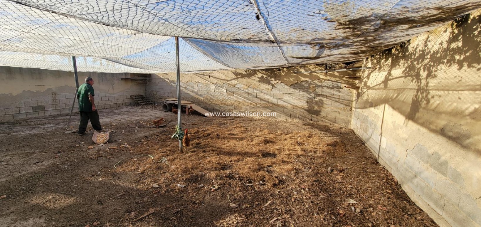 Sale - Country Property - San Miguel de Salinas