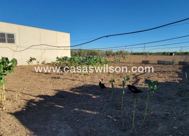 Sale - Country Property - San Miguel de Salinas