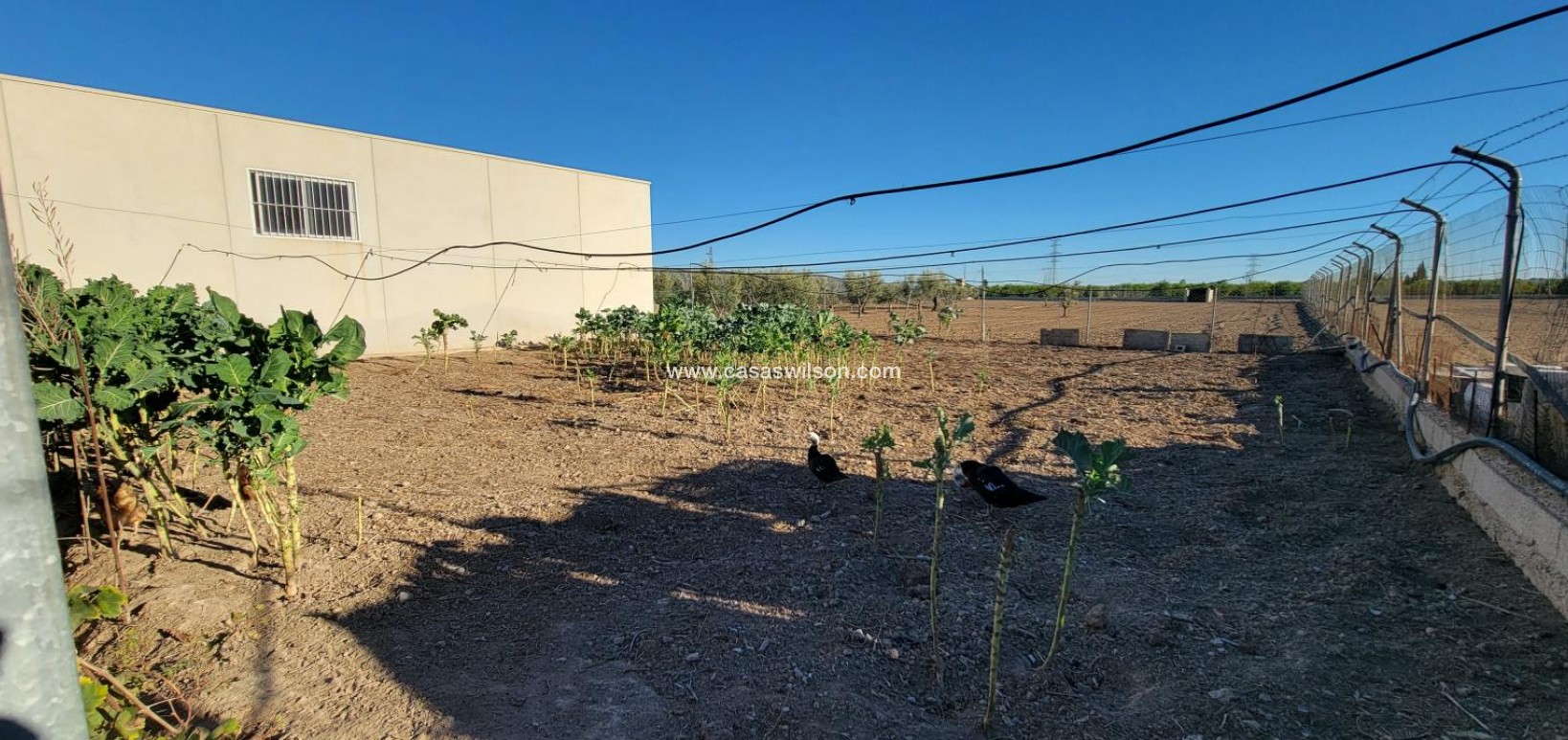 Sale - Country Property - San Miguel de Salinas