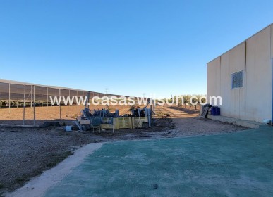 Sale - Country Property - San Miguel de Salinas