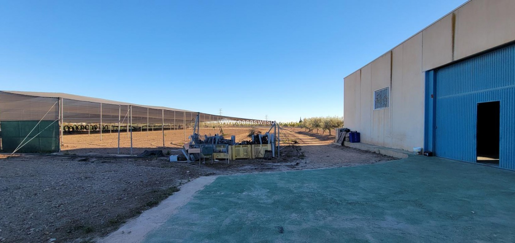 Sale - Country Property - San Miguel de Salinas