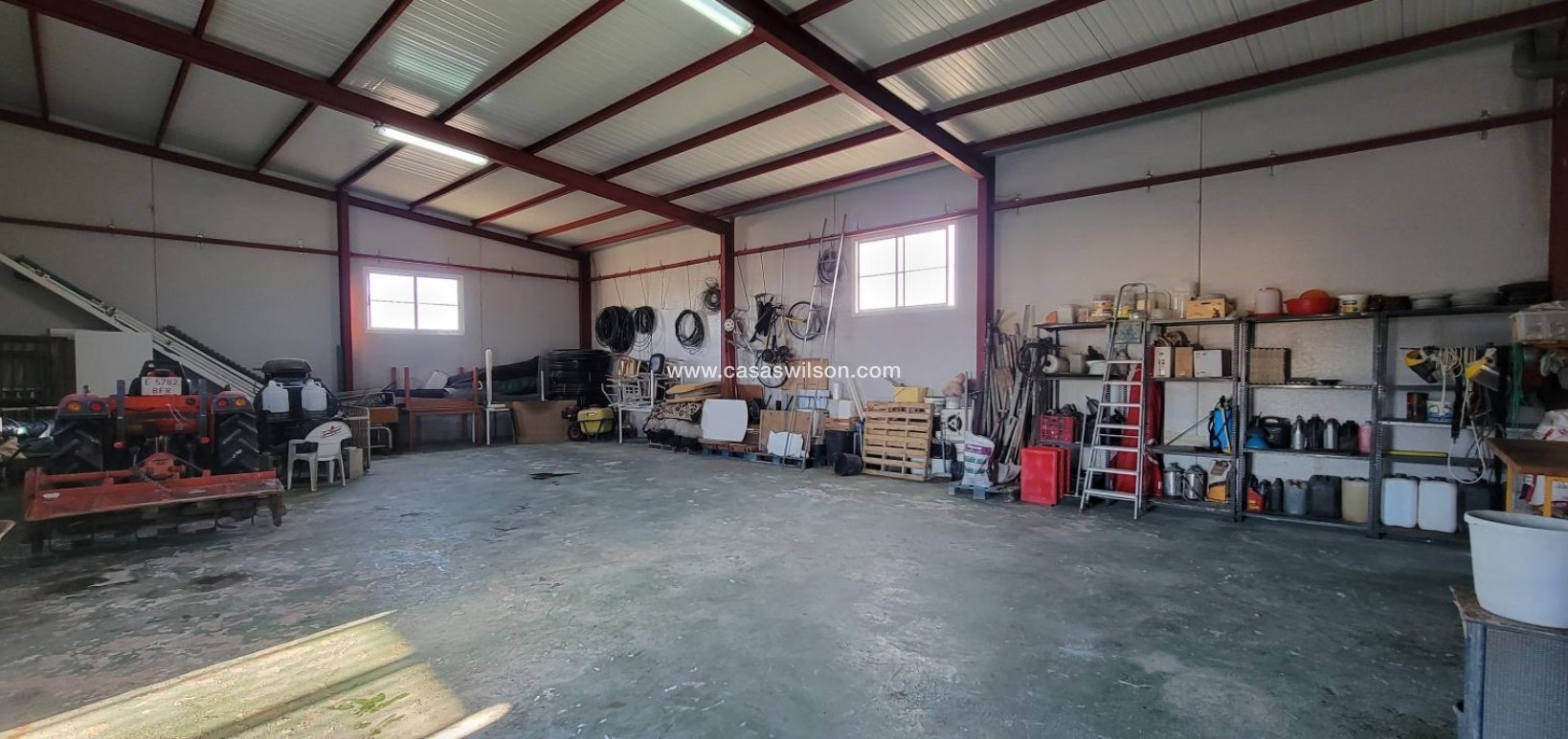 Sale - Country Property - San Miguel de Salinas