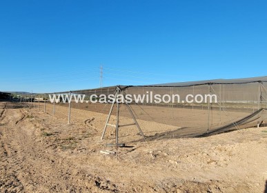 Sale - Country Property - San Miguel de Salinas