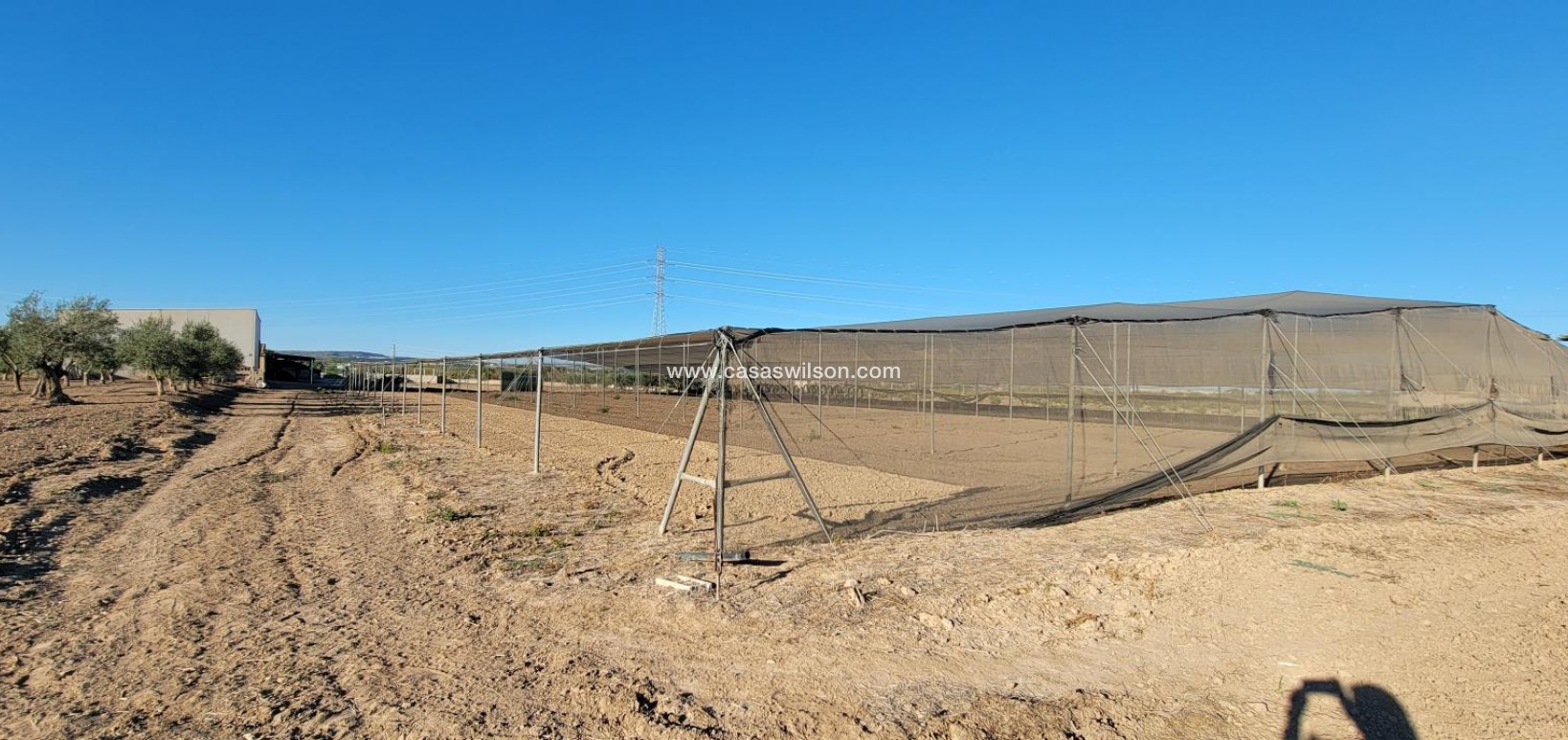 Sale - Country Property - San Miguel de Salinas