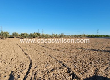 Sale - Country Property - San Miguel de Salinas