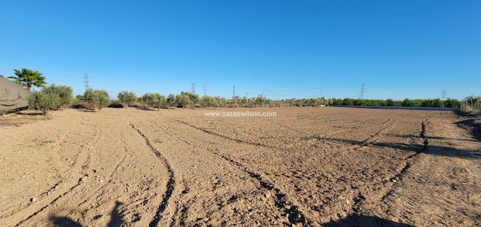 Sale - Country Property - San Miguel de Salinas