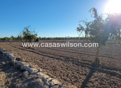 Sale - Country Property - San Miguel de Salinas