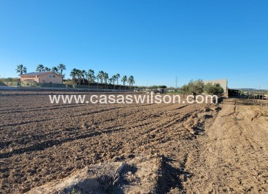 Sale - Country Property - San Miguel de Salinas