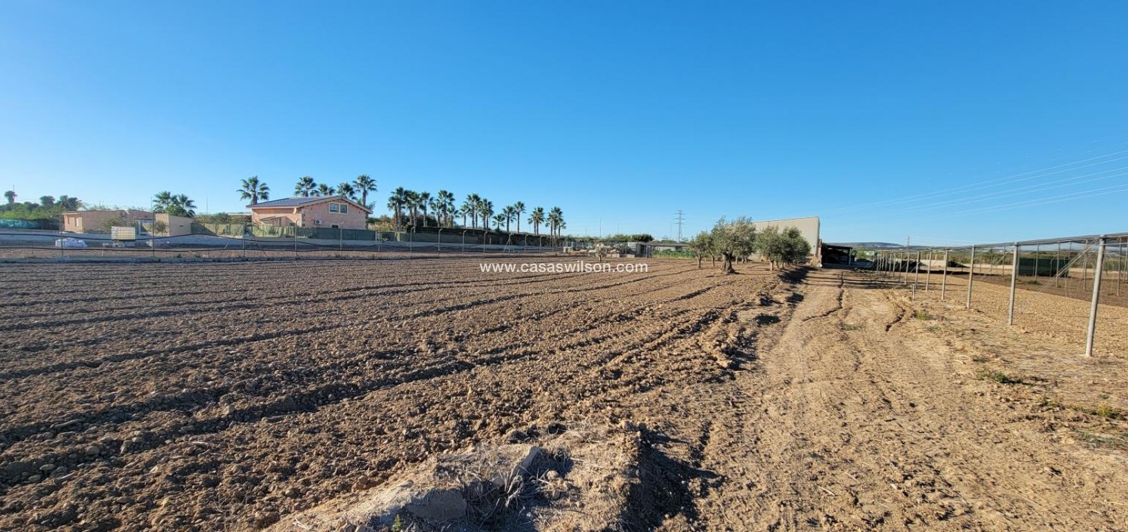 Sale - Country Property - San Miguel de Salinas