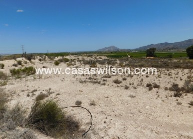 Sale - Plot of Land - Fortuna - FORTUNA (MURCIA)