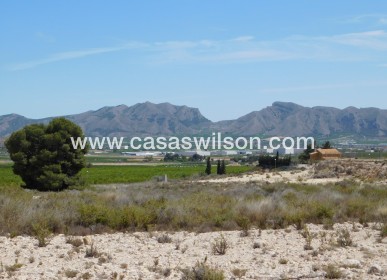 Sale - Plot of Land - Fortuna - FORTUNA (MURCIA)