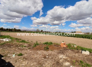 Sale - Country Property - Dolores