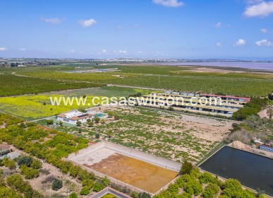 Sale - Villa - Los Montesinos