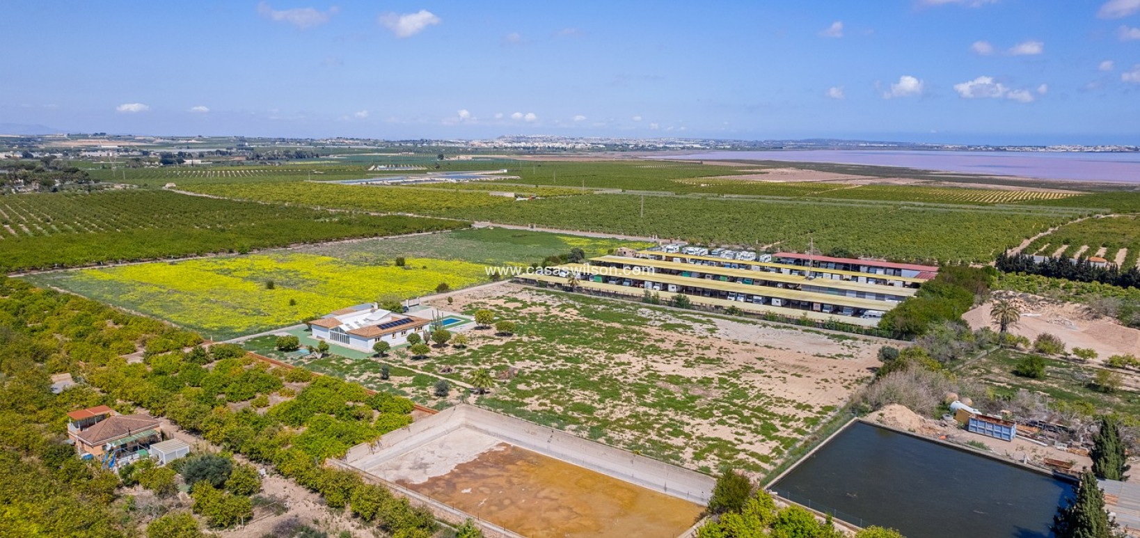 Sale - Villa - Los Montesinos