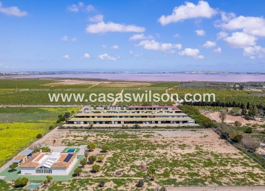 Sale - Villa - Los Montesinos