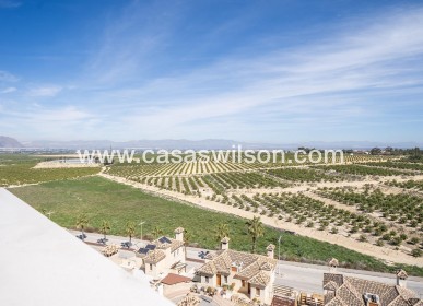 New Build - Villa - Algorfa - La Finca Golf