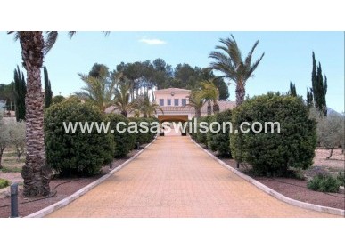 Sale - Villa - Penàguila