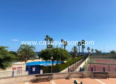 Venta - Apartamento - Mil Palmeras