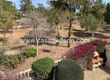 Venta - Chalet - Guardamar del Segura - Guardamar - El Raso