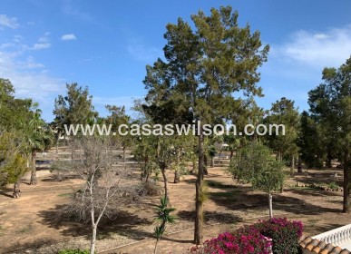 Venta - Chalet - Guardamar del Segura - Guardamar - El Raso