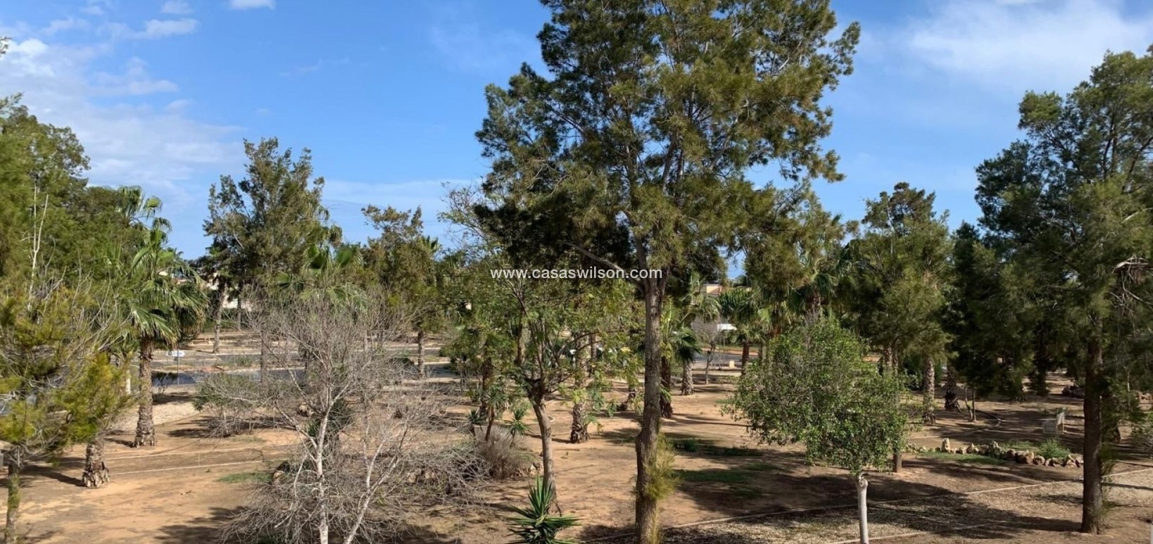 Venta - Chalet - Guardamar del Segura - Guardamar - El Raso