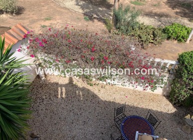 Venta - Chalet - Guardamar del Segura - Guardamar - El Raso