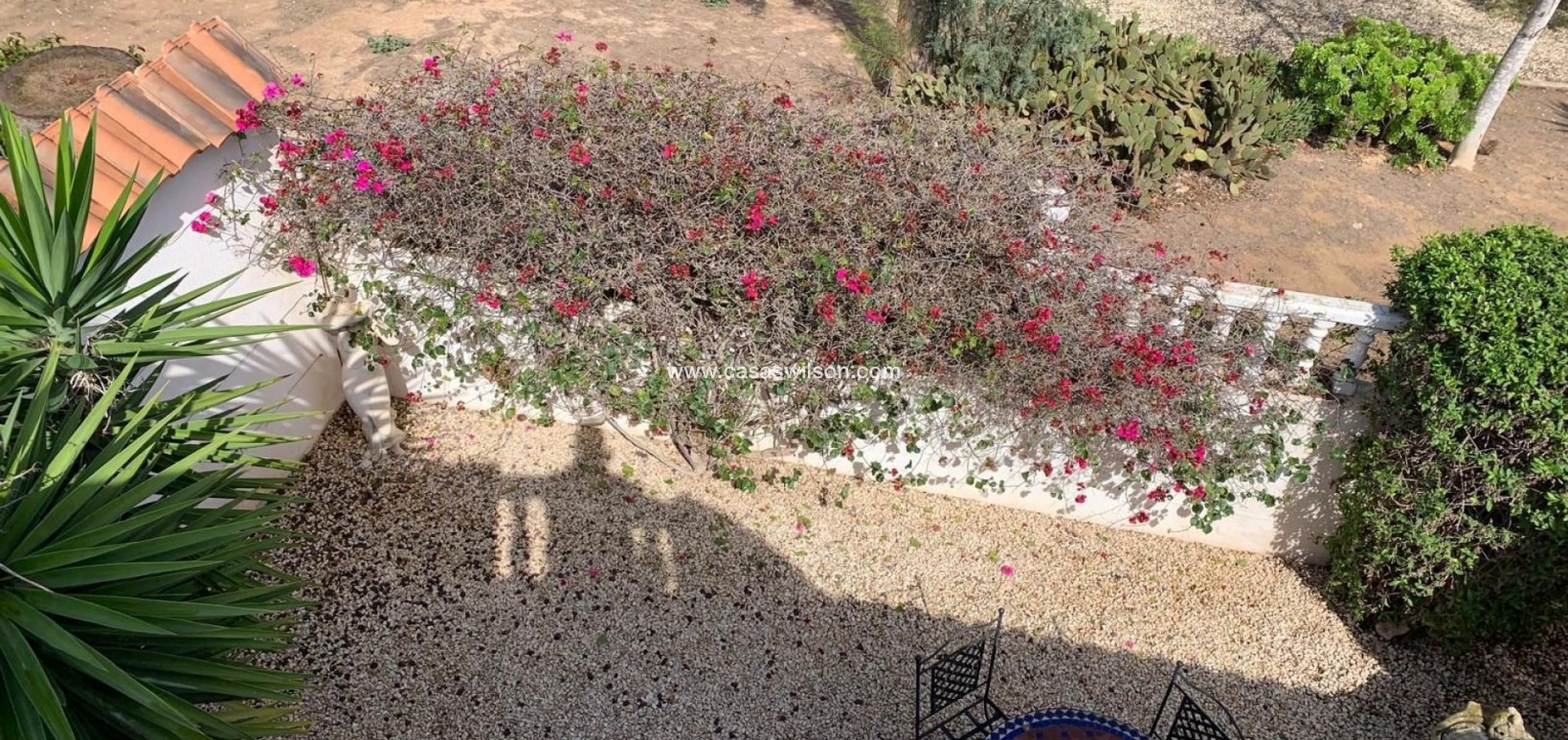 Venta - Chalet - Guardamar del Segura - Guardamar - El Raso