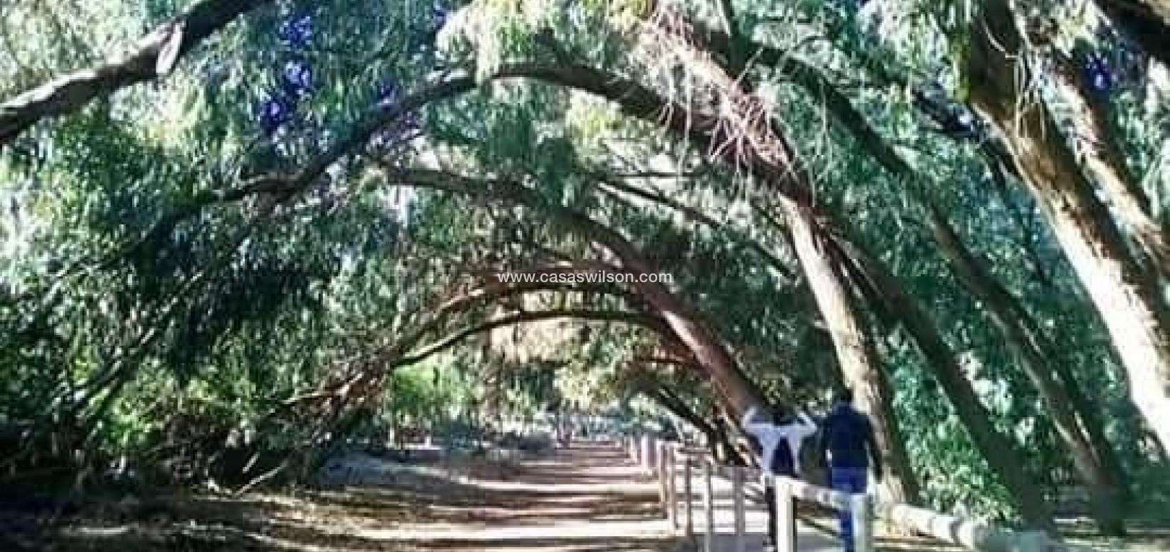 New Build - Bungalow - Torrevieja - Altos del Sol