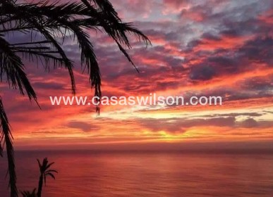 New Build - Bungalow - Torrevieja - Altos del Sol