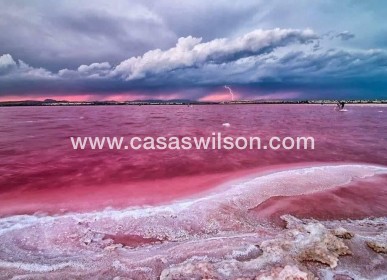 New Build - Bungalow - Torrevieja - Altos del Sol