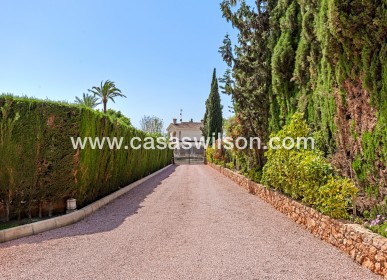 Sale - Villa - Elche - Elche/Elx