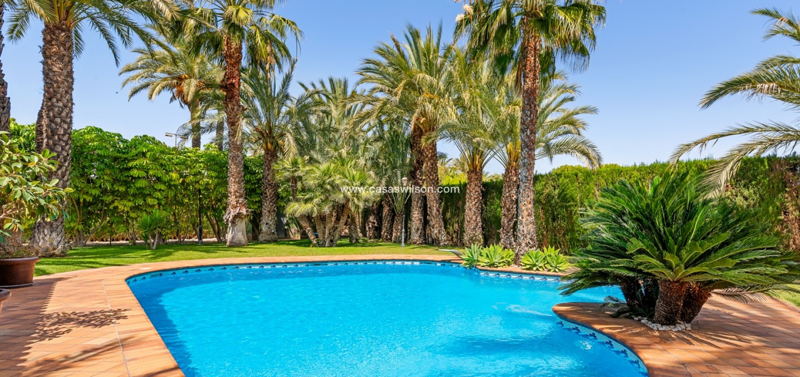 Sale - Villa - Elche - Elche/Elx