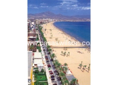 New Build - Apartment - San Juan Alicante - Franc Espinós