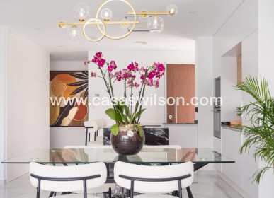 New Build - Villa - San Pedro del Pinatar - San Pedro del Pinatar pueblo