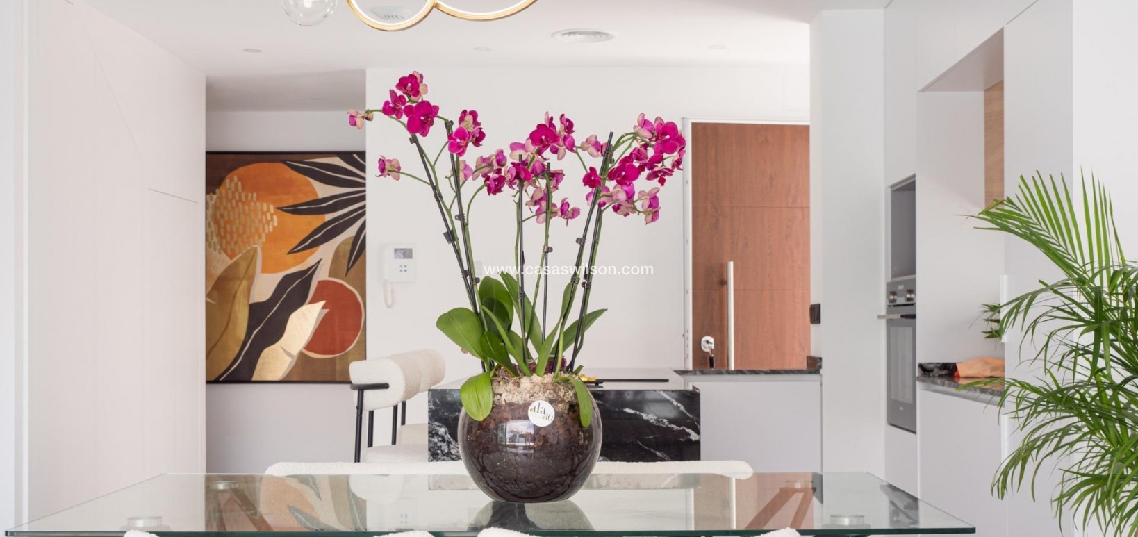 New Build - Villa - San Pedro del Pinatar - San Pedro del Pinatar pueblo