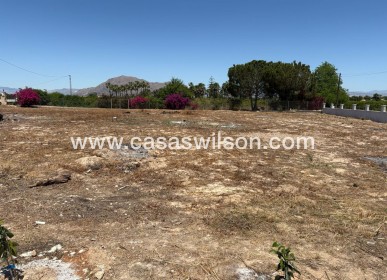 Venta - Chalet - Jacarilla