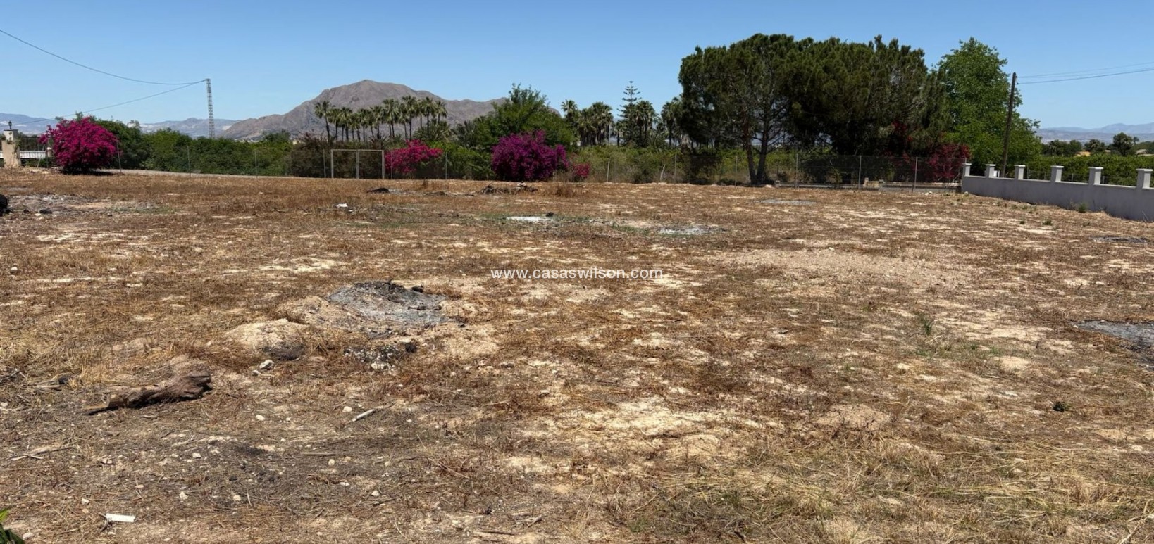 Venta - Chalet - Jacarilla