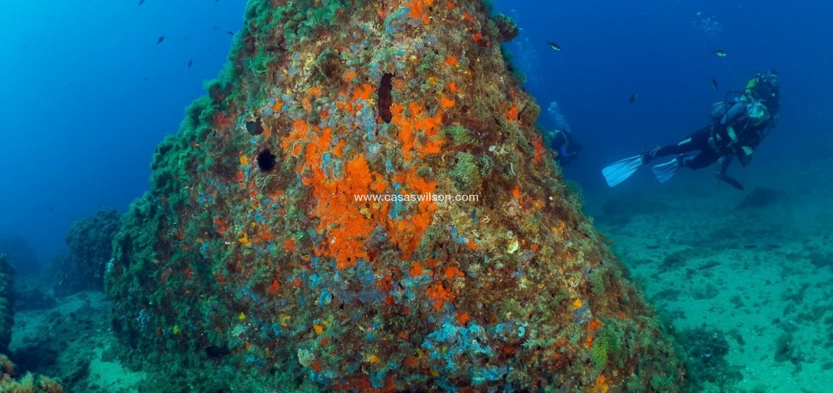 New Build - Other - Águilas - Isla del fraile