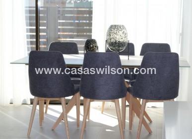 New Build - Townhouse - Pilar de la Horadada - parque Andromeda