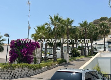 Venta - Chalet - San Miguel de Salinas - San Miguel Salinas