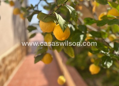 Sale - Villa - Algorfa - Lomas de Juliana